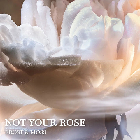 Not Your Rose
