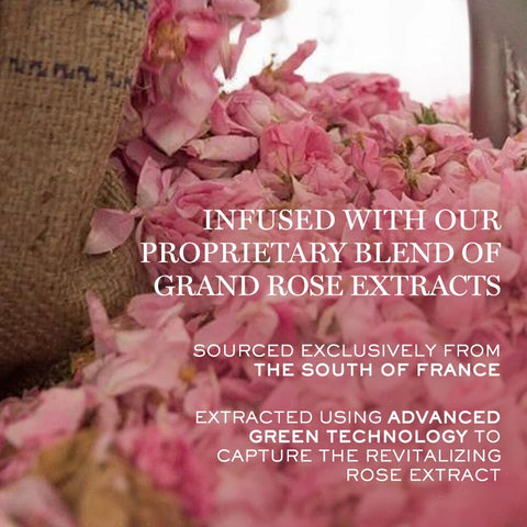 Absolue Rich Cream Moisturizer